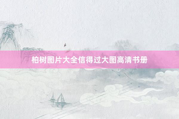 柏树图片大全信得过大图高清书册