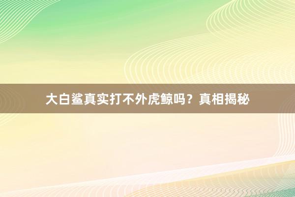 大白鲨真实打不外虎鲸吗？真相揭秘